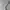 NEVADA light grey sweatpants photo 1