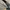 Kaca mata Ray-Ban Vintage Bausch & Lomb (B&L) USA - Original photo 2