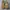 Dr Martens 2976 Chelsea Boots photo 8