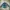 BURBERRY BRIT Green Exploded Check Longsleeve Button-Up Shir photo 5