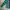 BURBERRY BRIT Green Exploded Check Longsleeve Button-Up Shir photo 3