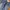 True religion flared bootcut jeans  photo 3
