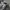 Find Out Relaxed Nylon Short Pants MultiColor Unisex photo 4