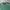 Green Cable Knit by Hagten photo 3