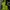Adidas Hoody Pria green photo 1