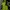 Adidas Hoody Pria Green