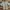 Crop Tops