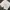 GAP Realaxed Short Pants White Unisex  photo 4