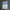 (Sealed New) Before Your Memory Fades by Toshikazu Kawaguchi photo 2