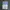 (Sealed New) Before Your Memory Fades By Toshikazu Kawaguchi