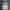 (Sealed New) Before Your Memory Fades By Toshikazu Kawaguchi
