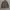 Tommy hilfiger canvas parka jacket photo 2