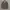Tommy Hilfiger Canvas Parka Jacket