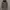 Uniqlo sherpa jacket photo 1