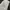 GU Relaxed Short Pants White Unisex photo 3