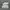 Converse 70s x Ader Error White photo 2