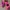 Adidas Casual Sneakers Wanita pink photo 7