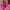 Adidas Casual Sneakers Wanita pink photo 1