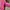 Adidas Casual Sneakers Wanita pink photo 4
