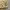 Polo Ralph Lauren Beige Hoodie photo 2