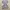 Dress mini mori shojou milkmaid  photo 1
