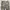 CARGO CAMO PANTS  photo 4