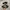 Adidas Superstar photo 1