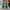 Denim Pants E-Jeans Baggy Y2k Distressed Fedded photo 5