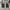 Denim Pants E-Jeans Baggy Y2k Distressed Fedded photo 2