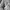 Original Design Baggy Fit White photo 2