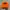 Topi Camo Team Real Tree Orange Baseball Cap