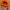 Topi Camo Team Real Tree Orange Baseball Cap photo 4