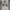 The Rolling Stones Mick Jagger Backless Shirt Alt Grunge photo 1