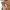 QUECHUA HIKING PANTS photo 9