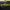 Jersey Original PSV Away 2024 2025 photo 5