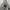 Hoodie Feltic  photo 3