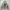 Hoodie Feltic  photo 2