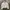 Buckaroo White Avant Garde Jacket photo 1