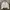 Buckaroo White Avant Garde Jacket photo 2