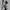 Dollar Bill Patern Tie photo 5