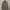 MASSIMO DUTTI photo 1