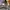 trackpants kappa teped photo 4