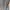 trackpants kappa teped photo 6
