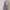 Dress Maxi Floral Lilac Ruffle