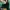 ADIDAS SPEZIAL ORIGINAL photo 9