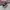 Vans Authentic OG 44 DX Anaheim Black White photo 1