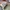 Converse Chuck 70s Low Gray White photo 6