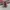 Vans Sk8 Low OG Black White photo 5