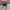 Vans Sk8 Low OG Black White photo 4