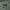 Polham ⋆ Cargo pantss  photo 2